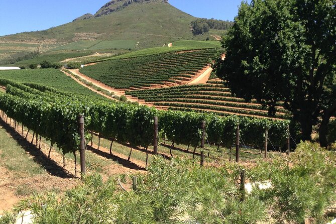 Stellenbosch Franschhoek Full-Day Tour with Cheese Tasting - Hotel Pickup and a 15-Person Max: The Real Benefit You Feel