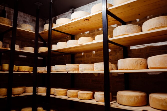 Swiss Cheese Tasting Experience | Basel - A 35-Minute Cheese Lesson in Basel’s City Center