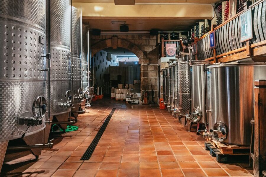 Tacoronte: Guided Winery Tour with Wine and Cheese Tastings - The star section: four wines paired with four local cheeses