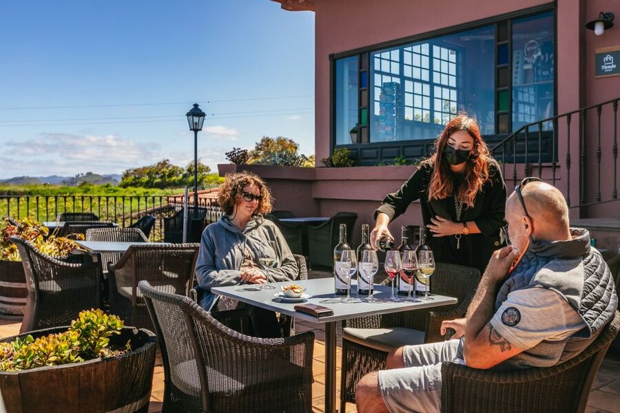 Tacoronte: Guided Winery Tour with Wine and Cheese Tastings - How the guide style affects your experience (English timing and delivery)