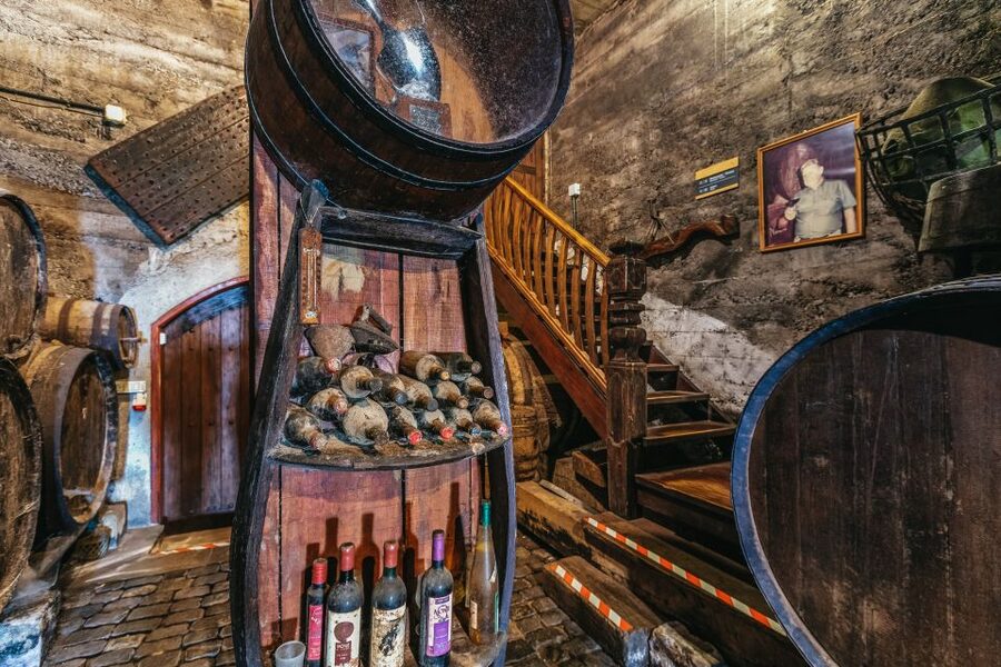 Tacoronte: Guided Winery Tour with Wine and Cheese Tastings - Who should book this and who might want something else