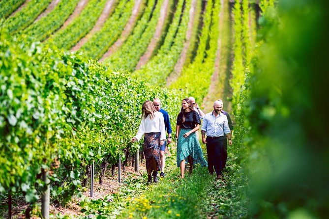 Tasmanian Premium Wine Tour with Tasmanian Cheese Platter - Key highlights you’ll feel immediately