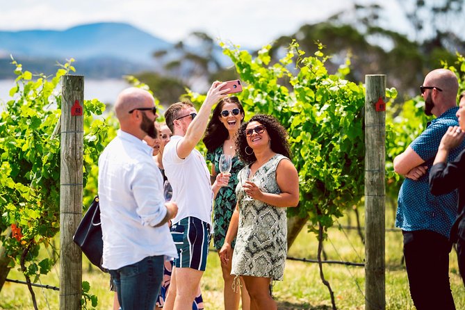 Tasmanian Premium Wine Tour with Tasmanian Cheese Platter - Sparkling, cool-climate whites, and reds: tasting in an order that makes sense