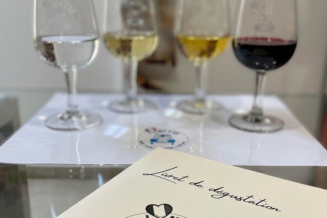 Tasting of 6 Bordeaux wines and pairing charcuterie & cheese - Wine tasting in Bordeaux that actually teaches your nose