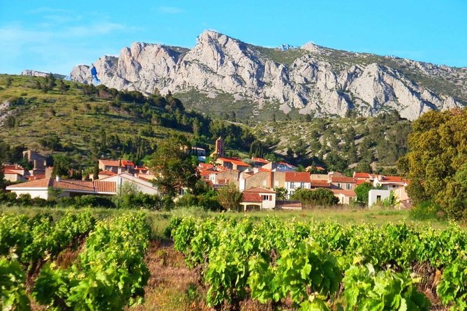 tasting workshop of 6 to 8 wines with charcuterie chocolate cheese - Quick hits you’ll care about