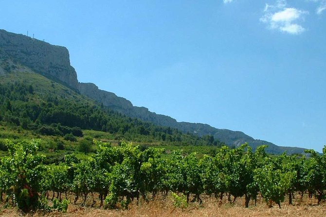 tasting workshop of 6 to 8 wines with charcuterie chocolate cheese - Price and value: $24.03 for 90 minutes that includes food
