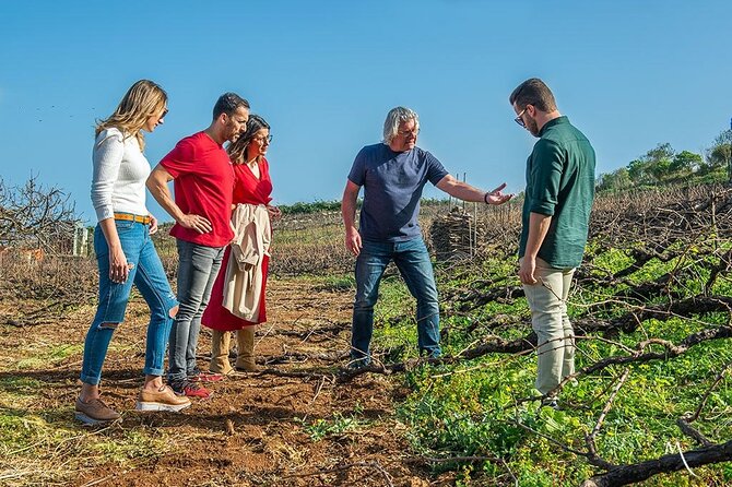 Tenerife Bodegas Monje Winery Tour with Wine and Cheese Tasting - Best Fit: Who Should Book This (and Who Might Want Something Different)