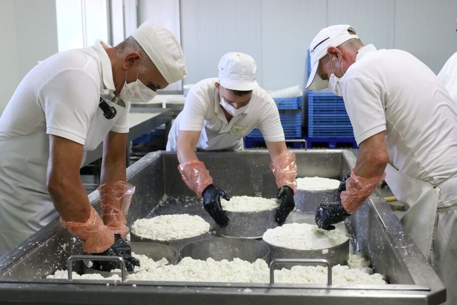 Tenerife - Farm Tour with Cheese Tasting - Key Highlights You’ll Actually Care About