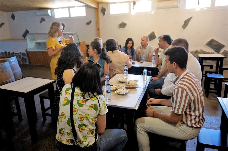 Tenerife - Farm Tour with Cheese Tasting - What Happens After the Factory: Photo Stop, Farm Camp Time, and Scenery