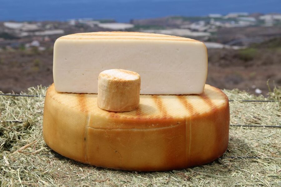 Tenerife - Farm Tour with Cheese Tasting - The Best Part Starts Immediately: Baby Goats First, Then Real Farm Life