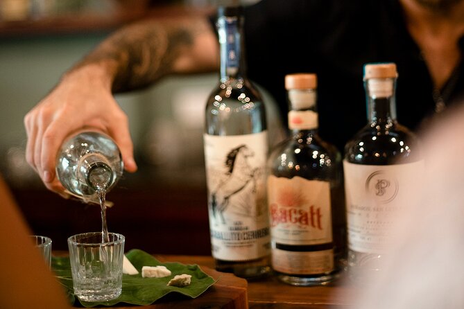 Tequila and Mezcal Tasting in Tulum with Cheese Pairing - Beyond Oaxaca: how multiple Mexican states change the lineup