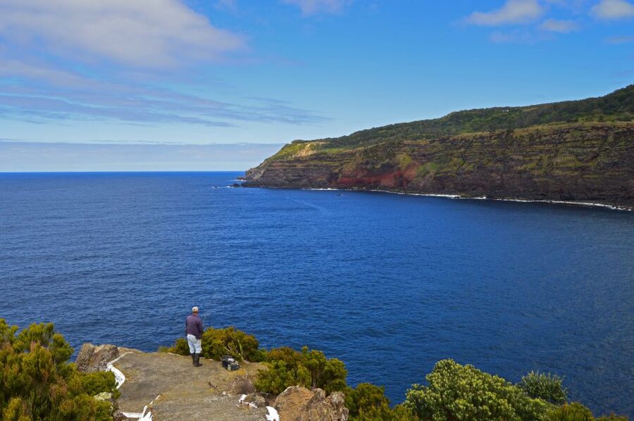 Terceira: Half-Day Island Tour with Cheese Tasting - Cheese tasting: four types, handmade, and the kind of break you actually want