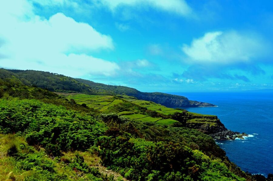Terceira: Half-Day Island Tour with Cheese Tasting - Pickup and timing: 9:00 to about 13:00, with real-world wiggle room