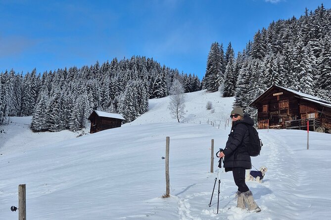 The best Sunset hike with Cheese Fondue - Key highlights to know before you go