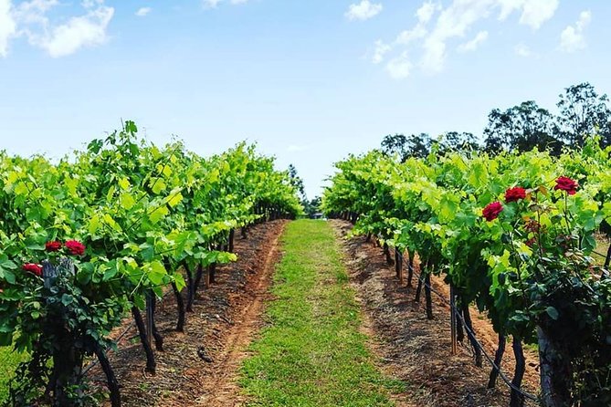 Tintilla Estate: Wine Tasting with a Meat and Cheese Platter - Food Pairing: Meat, Cheese, Terrine, and Sourdough