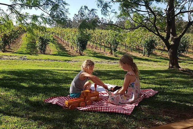 Tintilla Estate: Wine Tasting with a Meat and Cheese Platter - Views and Comfort on the Vineyard Deck