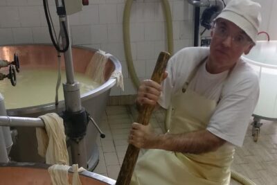 Tour Parmigiano Reggiano dairy and Parma ham - Stop 1: the Parmigiano Reggiano dairy, from milk vats to wheels