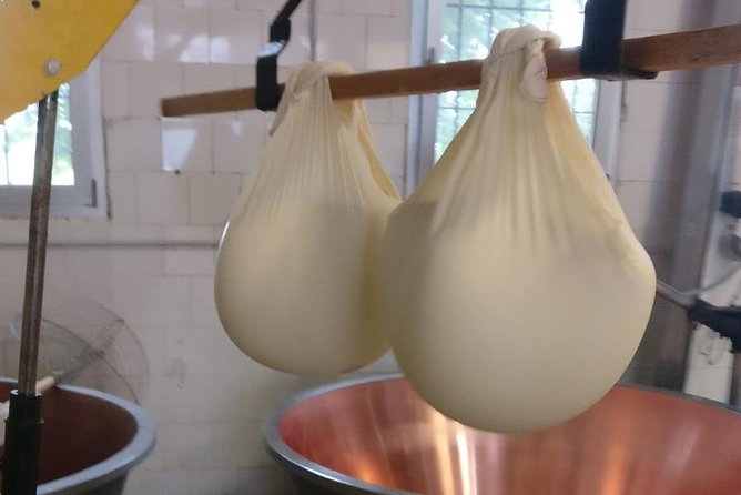 Tour Parmigiano Reggiano dairy and Parma ham - Duration and pacing: a 4–5 hour Parma food circuit that stays manageable