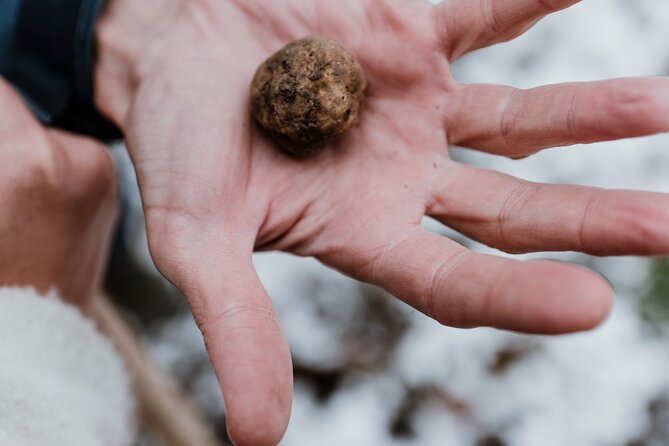 Truffle Hunting and Cheese, Truffle & Wine Tasting near Alba - What to Bring: Clothing, Boots, and a Realistic Mindset for the Woods