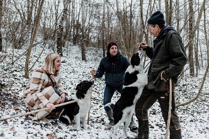 Truffle Hunting and Cheese, Truffle & Wine Tasting near Alba - Driving Through the Barolo Area Before the Forest Hunt