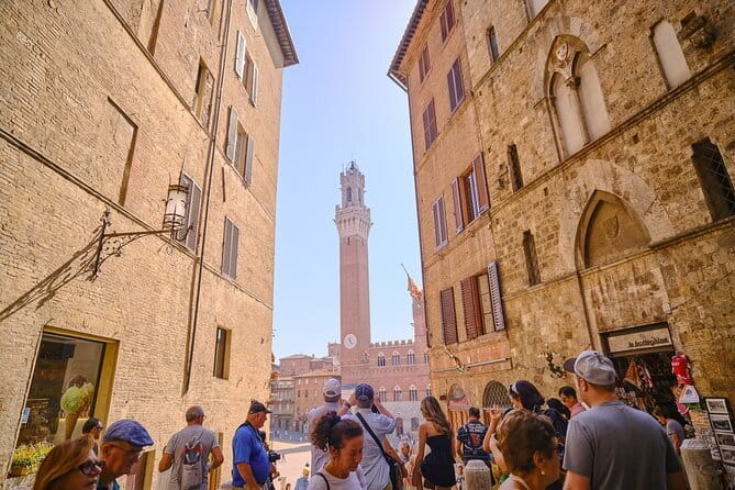 Tuscany Private Tour with Wine and Cheese Tasting from Florence - Pecorino at an Organic Farm Outside Pienza: Learning Before You Taste