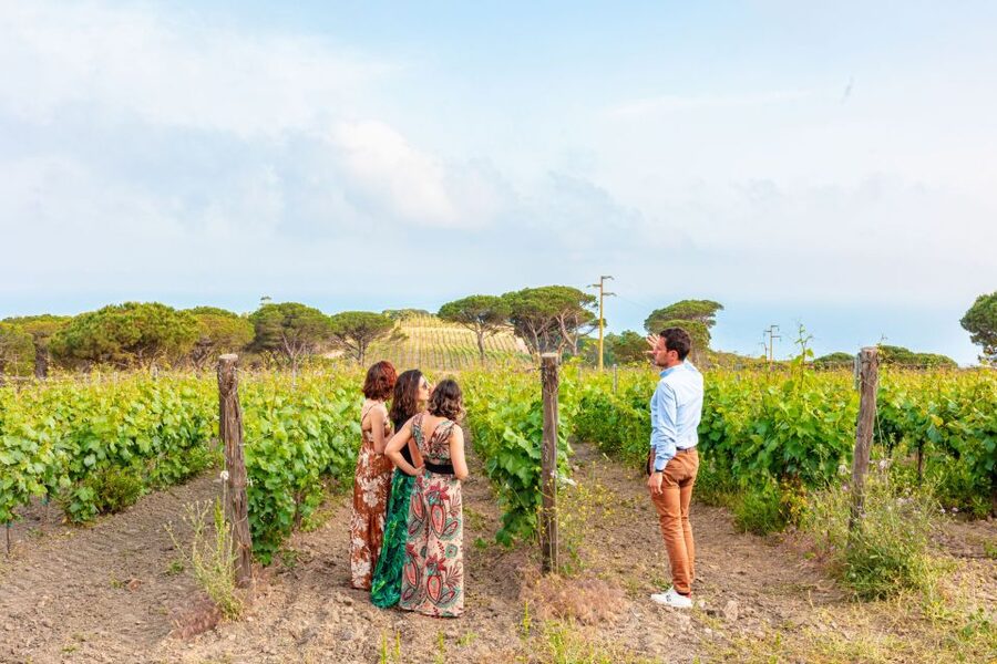 Tuscany: Ripalte Design Winery Wine and Cheese Tasting Tour - Why Ripalte is different: design winery meets real winemaking