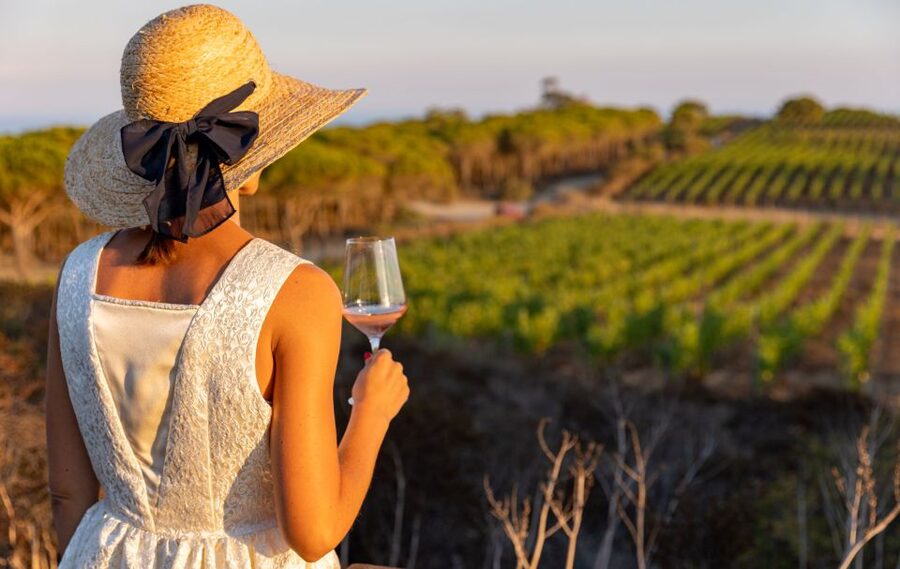 Tuscany: Ripalte Design Winery Wine and Cheese Tasting Tour - The grapes on 1000 acres: estate stroll and local legends