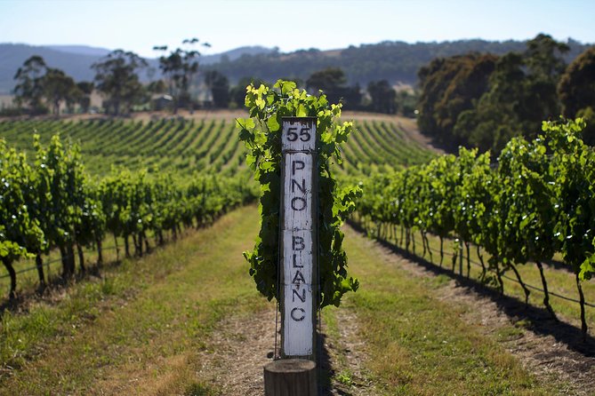 Ultimate Yarra Valley Chandon, Soumah & De Bortoli Cheese & Wine - Key things you’ll likely care about