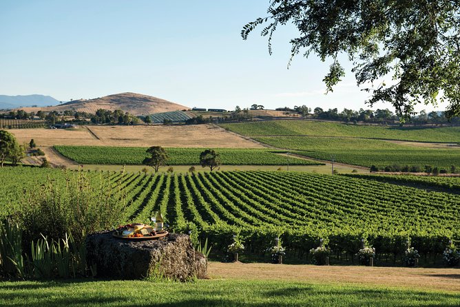 Ultimate Yarra Valley Chandon, Soumah & De Bortoli Cheese & Wine - Winery Restaurant Lunch: The Meal You’ll Remember