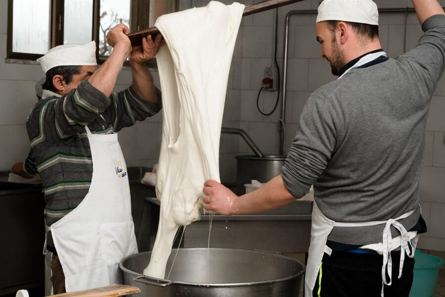 Vico Equense: Tour in the dairy "Mozzarella Experience" - Key things that make this mozzarella workshop worth your time