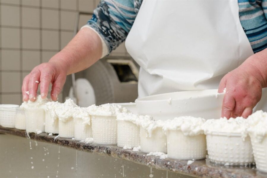 Vico Equense: Tour in the dairy "Mozzarella Experience" - Where the dairy tradition actually comes from: Vico Equense and the Lattari Mountains