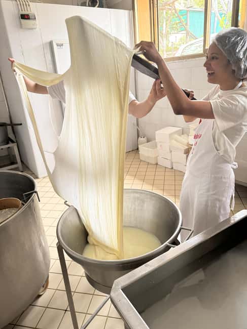 Vico Equense: Tour in the dairy "Mozzarella Experience" - Beyond mozzarella: learning the wider Campania cheese lineup