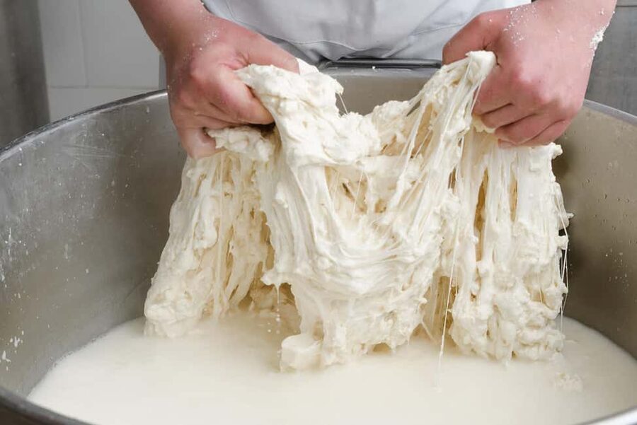 Vico Equense: Tour in the dairy "Mozzarella Experience" - How the 2 hours usually feel: short, focused, and hands-on