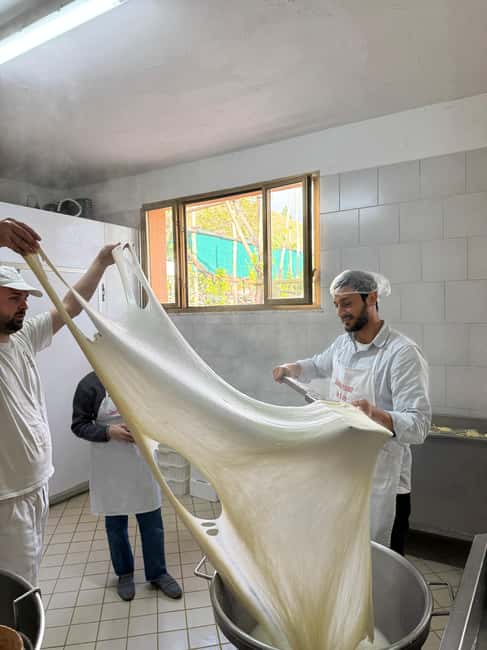 Vico Equense: Tour in the dairy "Mozzarella Experience" - Who this workshop is perfect for in Vico Equense (and who should skip)