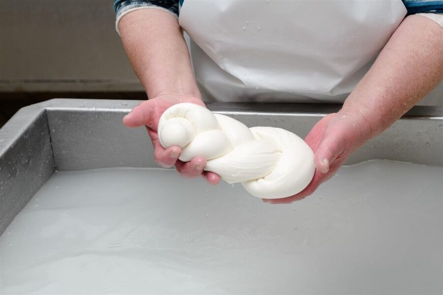 Vico Equense: Tour in the dairy "Mozzarella Experience" - Getting there without stress: meeting point and station options