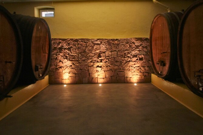 Visit and tasting of wines and cheese and charcuterie platter - Pressing hall and stainless vats: winemaking, explained with real equipment