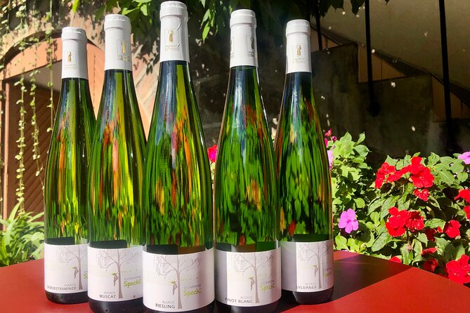 Visit and tasting of wines and cheese and charcuterie platter - Who this tour suits best (and who may want something else)