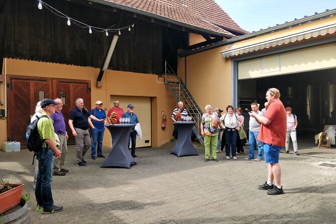 Visit and tasting of wines and cheese and charcuterie platter - Should you book this Domaine Specht wine and cheese tasting?