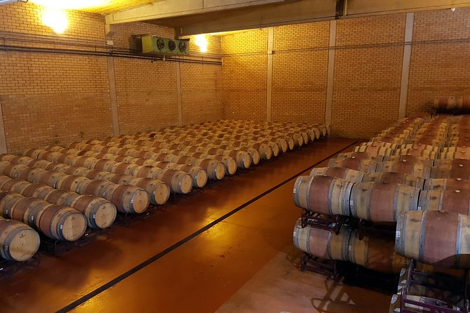 Visit and wine tasting with sausage and BODEGA PIRINEOS cheese - The tasting part: rosé, white, and two reds with cheese and sausage