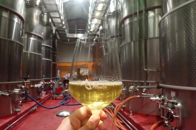 Visit and wine tasting with sausage and BODEGA PIRINEOS cheese - Inside the 1.5-hour itinerary: what you’ll actually see