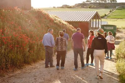 Visit La Antigua Cheese Factory (Cheese Tourism) - The hands-on details: robe, hat, leggings, snacks