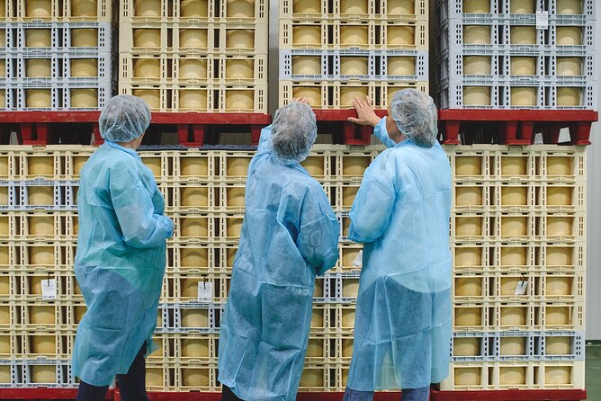Visit La Antigua Cheese Factory (Cheese Tourism) - Who this suits best (and who might prefer something else)
