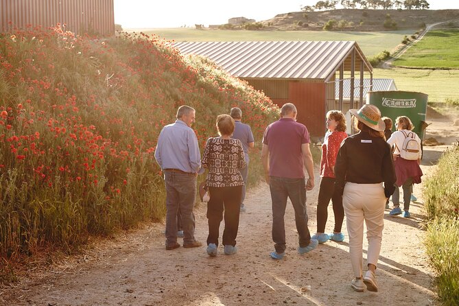 Visit La Antigua Cheese Factory (Cheese Tourism) - The hands-on details: robe, hat, leggings, snacks