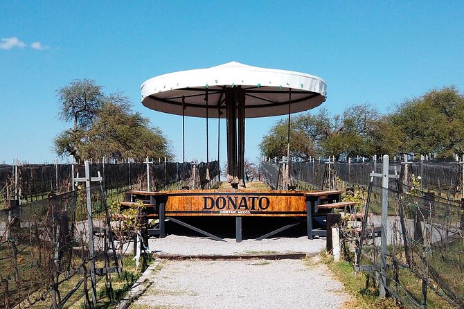 Visit to 3 Vineyards in the Region, departing from Querétaro - Meeting point in Querétaro and how the day is paced