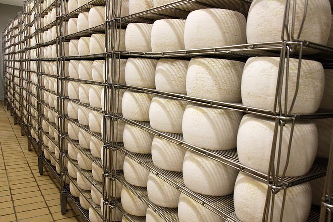 Visit to the dairy - Who This Tour Suits Best (and Who Might Skip It)