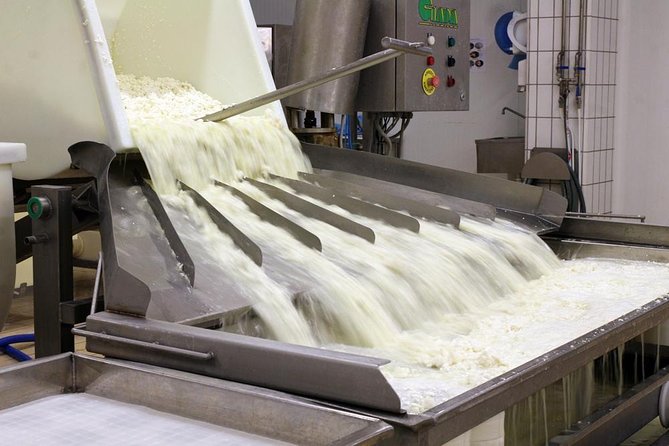 Visit to the dairy - The Company Shop: Don’t Leave Without Thinking About Souvenirs