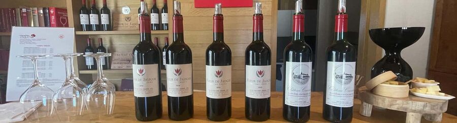 Visit to the property and wine/cheese pairing workshop - Vat room and barrel cellar: understanding the wine transformation cycle