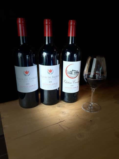Visit to the property and wine/cheese pairing workshop - Vineyard walk: the philosophy behind the vines