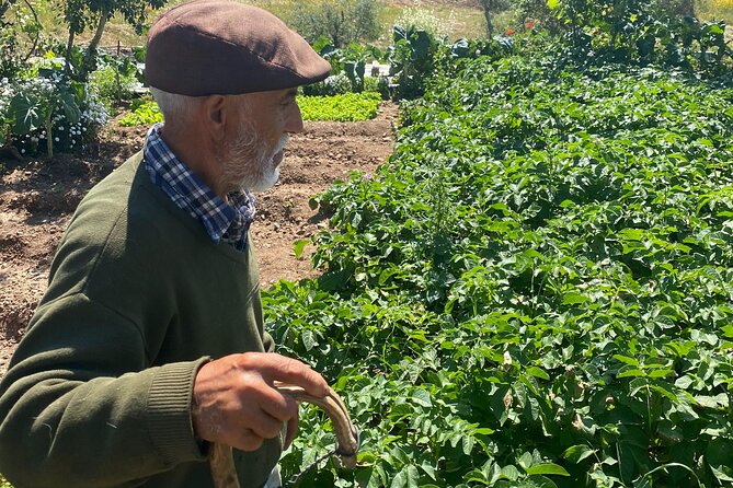 Walk in the Hills with Goat Herder-Local Honey, Wine and Cheese Tasting - Why Virginia and Josh’s Family Story Changes the Tasting
