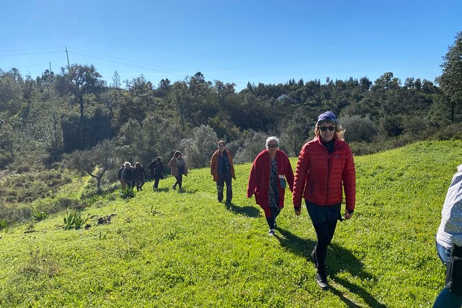 Walk in the Hills with Goat Herder-Local Honey, Wine and Cheese Tasting - Outdoor Wine, Cheese, and Local Honey: What You’re Actually Getting